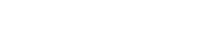 Cirque du Soleil LUDÕ